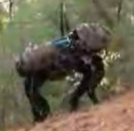 The Boston Dynamics Big Dog